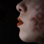 Download Technology FireFox PFP