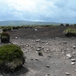 Download Nature Beach PFP