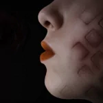 technology FireFox PFP