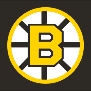 Boston Bruins Pfp