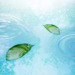 nature water drop PFP
