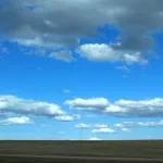 nature field PFP