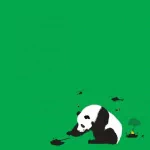 Animal panda PFP