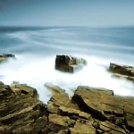 nature beach PFP