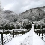 Download Nature Winter PFP