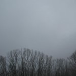 Download Nature Sky PFP