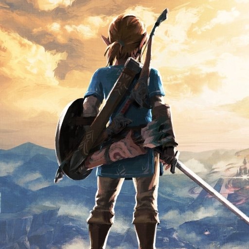 Download Link The Legend Of Zelda: Breath Of The Wild Video Game PFP