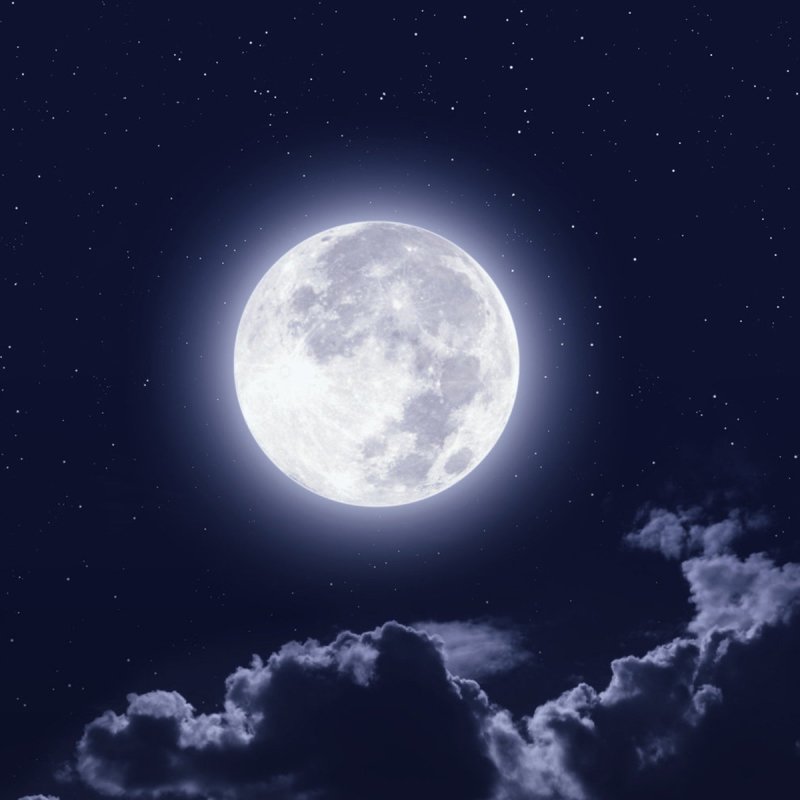 Download Moon Nature PFP