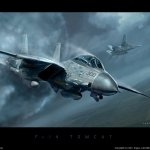 Download Military Grumman F-14 Tomcat PFP
