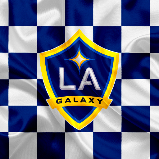 LA Galaxy Pfp
