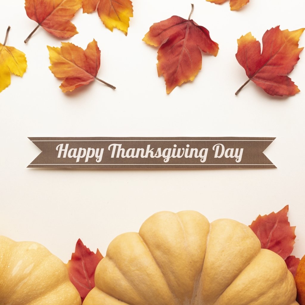 Download Thanksgiving Pumpkin Leaf Holiday PFP