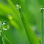 Download Nature Water Drop PFP