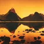 Download Nature Reflection PFP