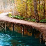 man made path PFP
