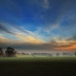 Download Nature Fog PFP