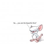 Download TV Show Pinky And The Brain PFP