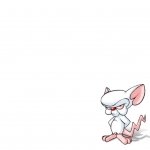 Download TV Show Pinky And The Brain PFP