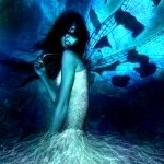 Download Fantasy Fairy PFP