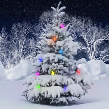 christmas tree Christmas christmas lights snow holiday PFP
