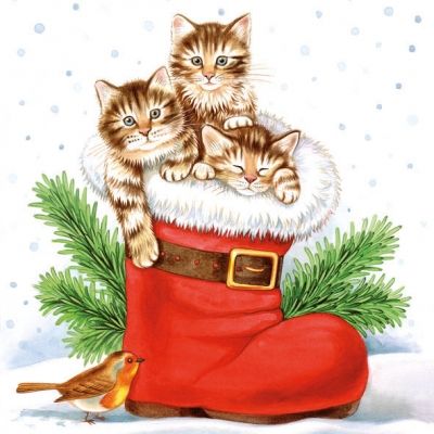 Download Bird Cat Christmas Holiday Christmas Cat PFP