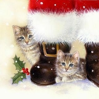 Download Cat Santa Christmas Holiday PFP