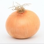 Download Food Onion PFP
