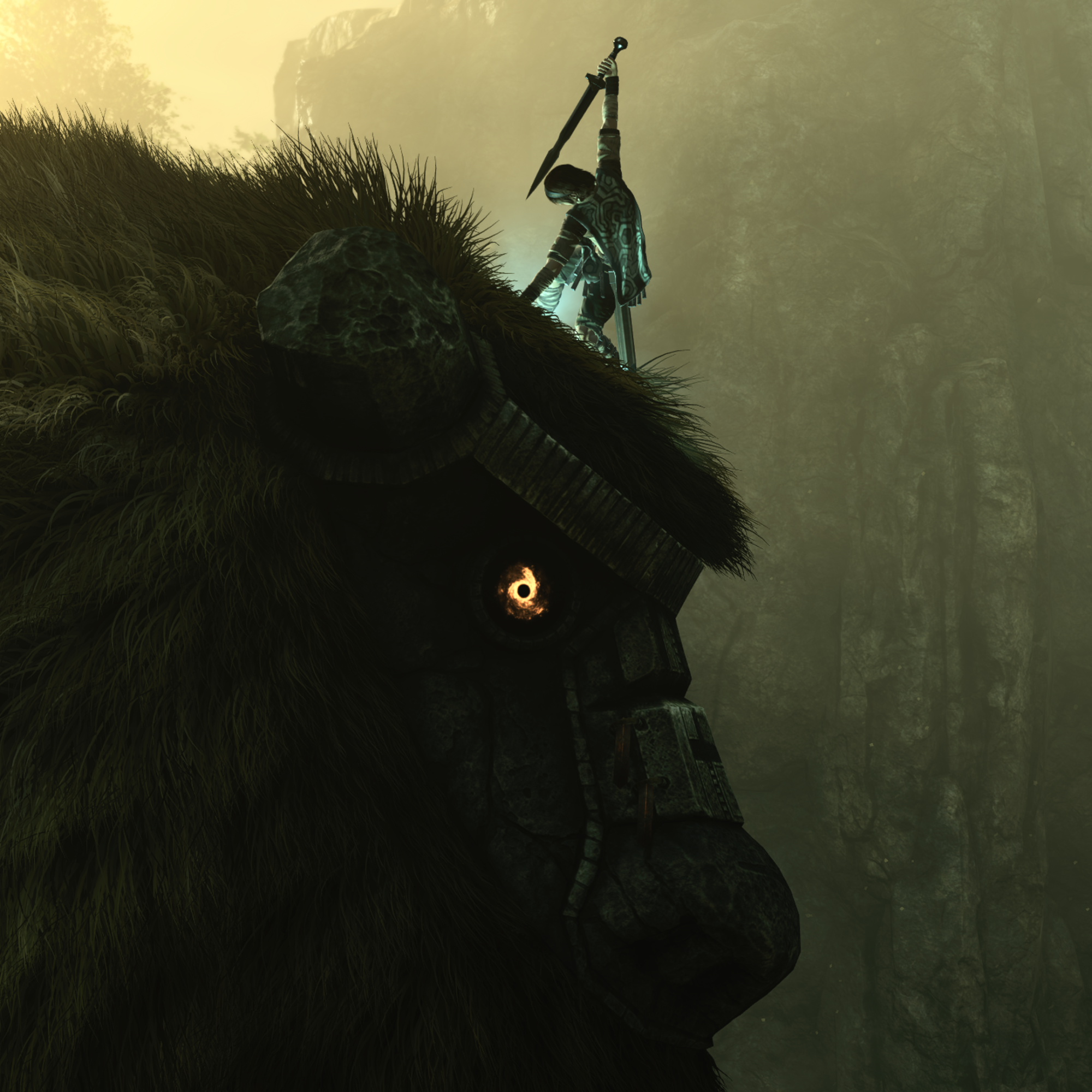 Shadow Of The Colossus Pfp