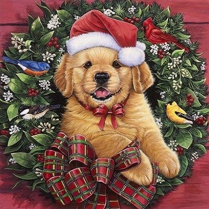 Download Puppy Dog Christmas Ornaments Santa Hat Christmas Holiday PFP