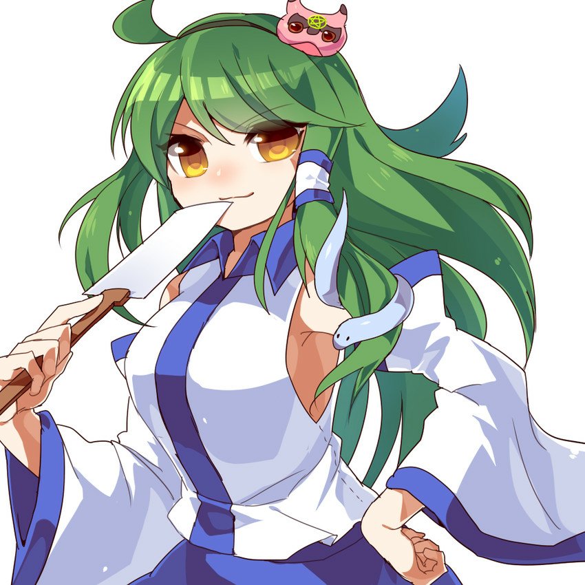 Download Sanae Kochiya Anime Crossover PFP