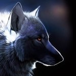 Download Animal Wolf PFP