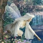 Download Fantasy Fairy PFP