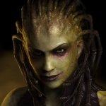 Download Video Game Starcraft PFP