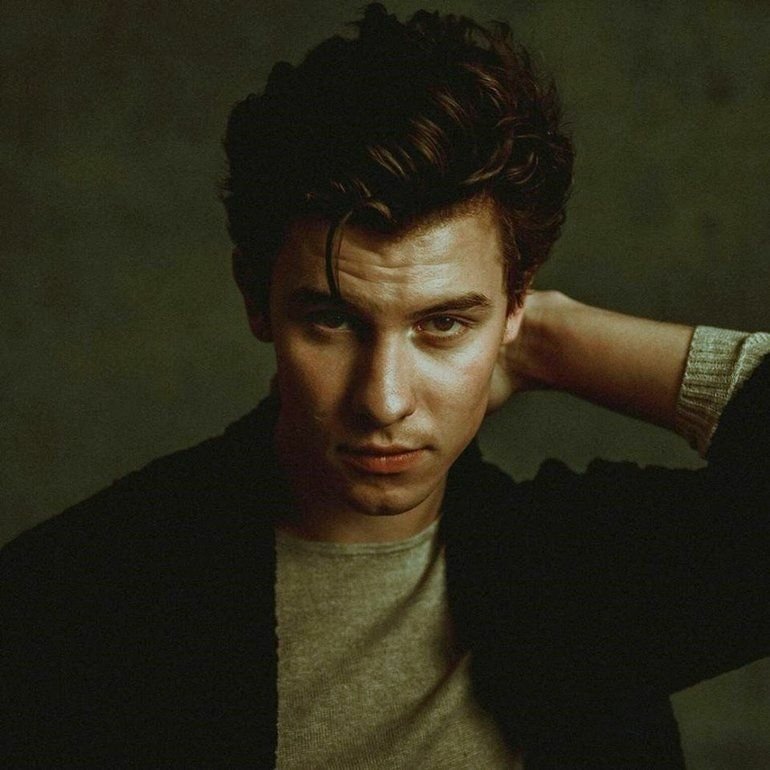 Download Singer Shawn Mendes Music PFP