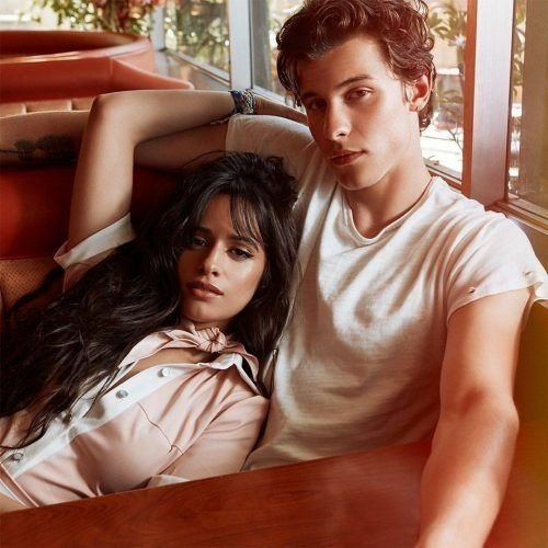 Download Shawn Mendes Camila Cabello Singer Music PFP
