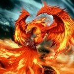 Download Fantasy Phoenix PFP