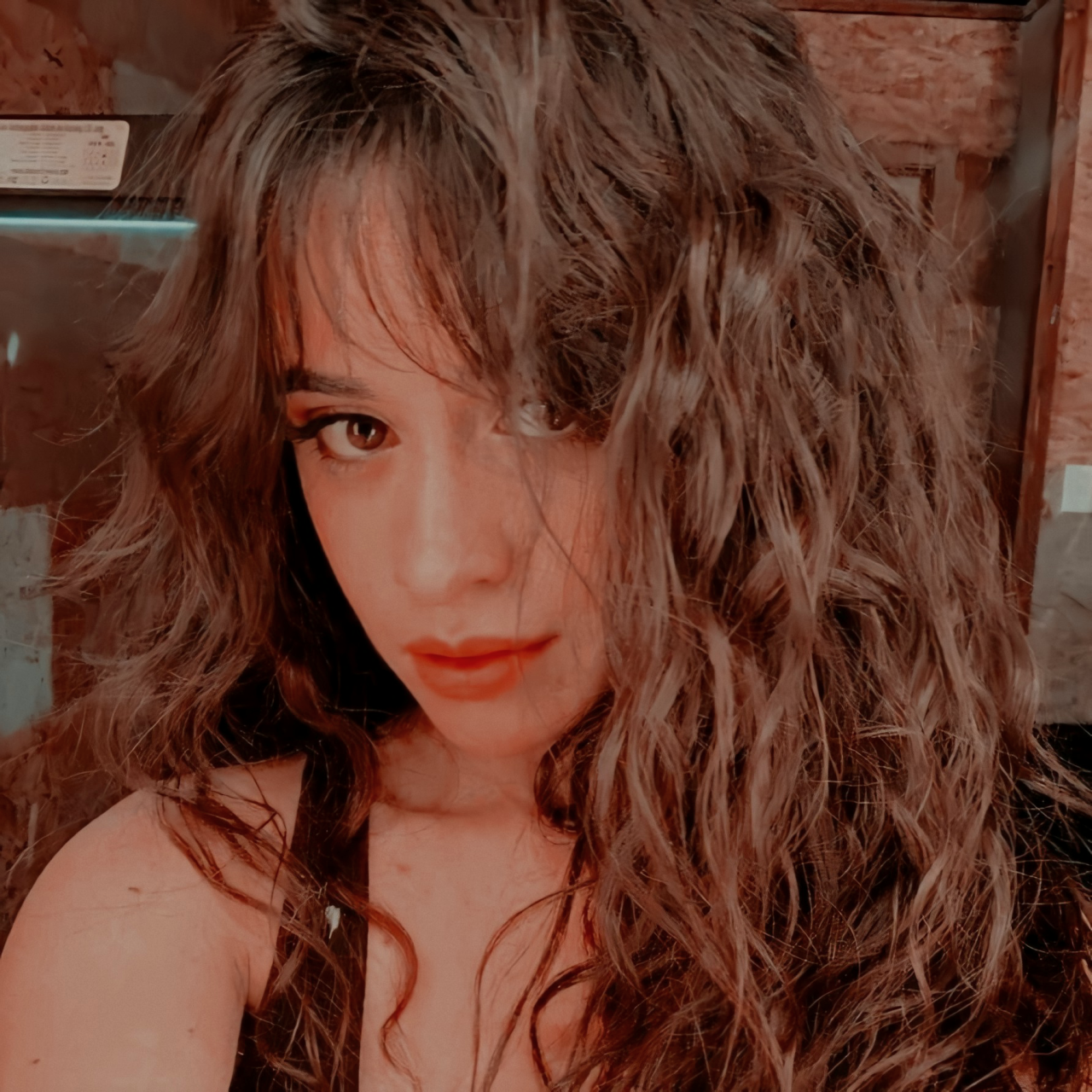 Download Singer Camila Cabello Music PFP