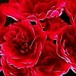 Download Abstract Fractal PFP