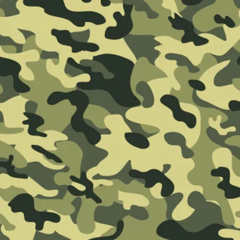 Camouflage PFP