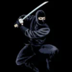 funny ninja PFP