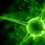 Download Abstract Green Abstract Green PFP