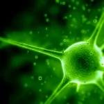 Abstract green abstract green PFP