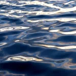 nature water PFP