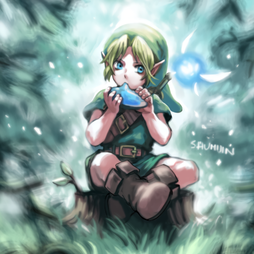 The Legend of Zelda: Ocarina of Time, Anime Gallery