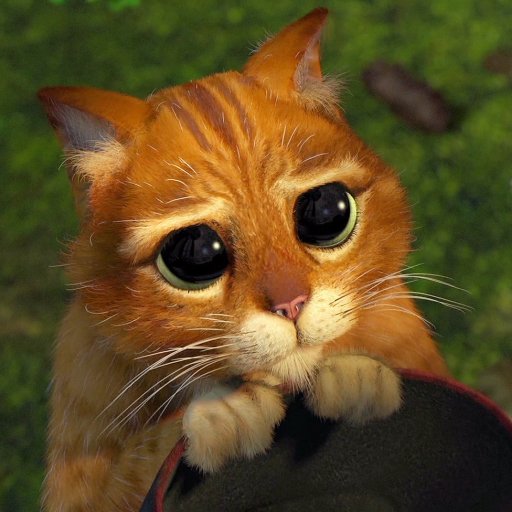 Forum avatar: Puss in Boots from Shrek with huge pleading eyes, paws clutching a hat.