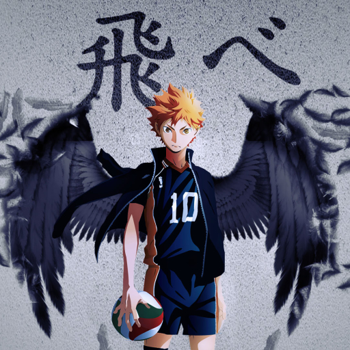 Download Feather Karasuno High Haikyū!! Shōyō Hinata Anime PFP