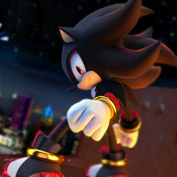 Shadow the Hedgehog video game PFP