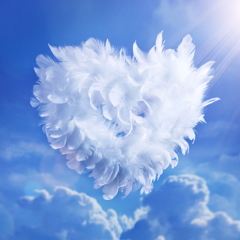 White Feather Heart