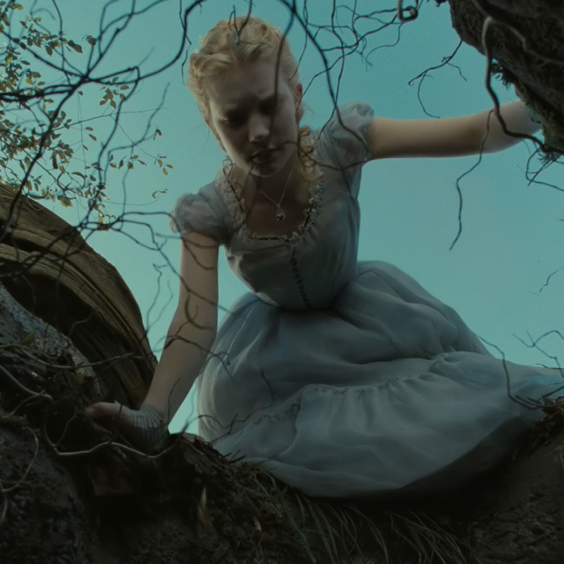 Alice in Wonderland (2010) Pfp