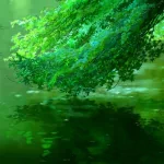 rain The Garden Of Words Anime Rain Anime PFP