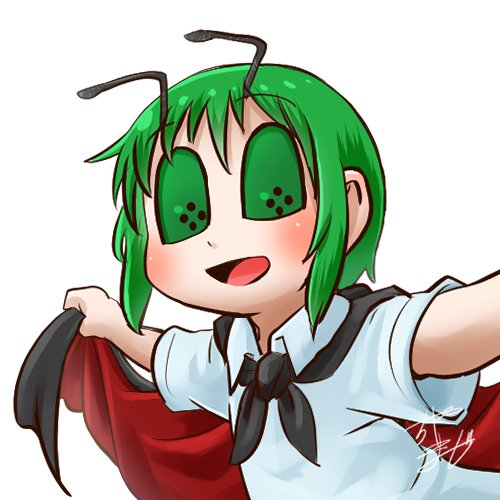 Download Wriggle Nightbug Anime Touhou PFP
